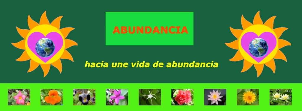 Abundancia Hacia Una Vida De Abundancia