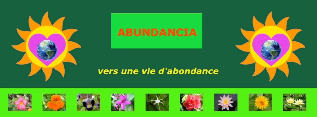 Abundancia Vers Une Vie D Abondance