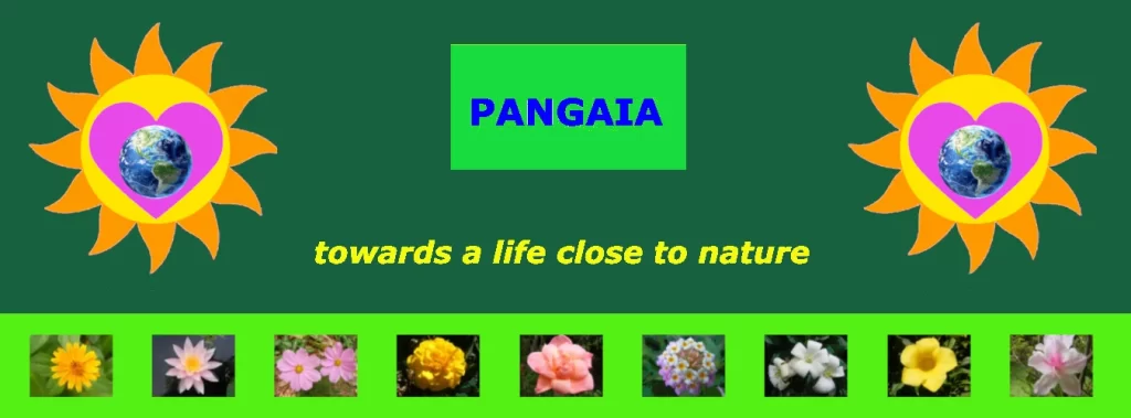 Pangaia Towards A Life Close To Nature