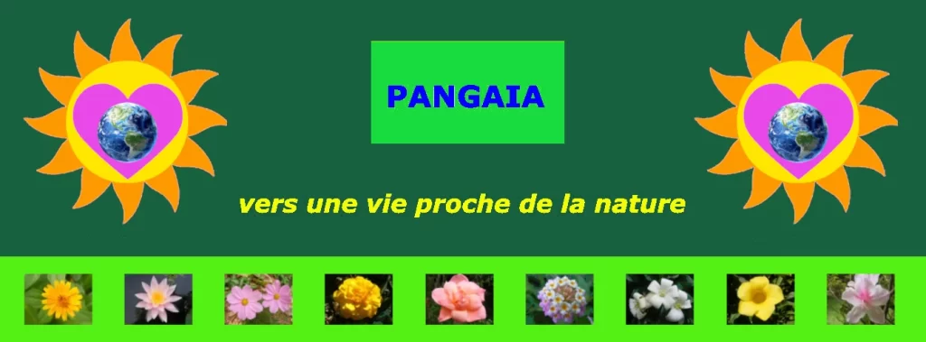 Pangaia Vers Une Vie Proche De La Nature