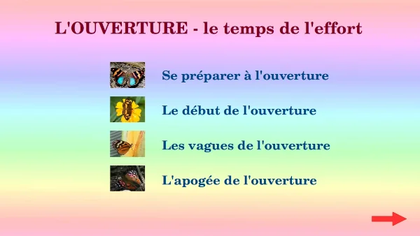Plan du dvd vivre naturellement et paisiblement la naissance partie 1 l'ouverture