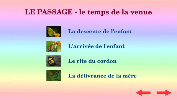 Plan du dvd vivre naturellement et paisiblement la naissance partie 2 le passage