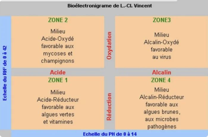Boélectronigrame de louis claude vincent