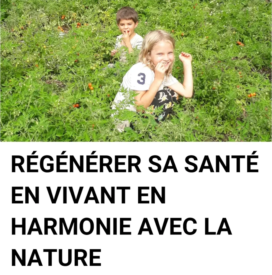 Groupe Facebook RÉGÉNÉRER SA SANTÉ EN VIVANT EN HARMONIE AVEC LA NATURE