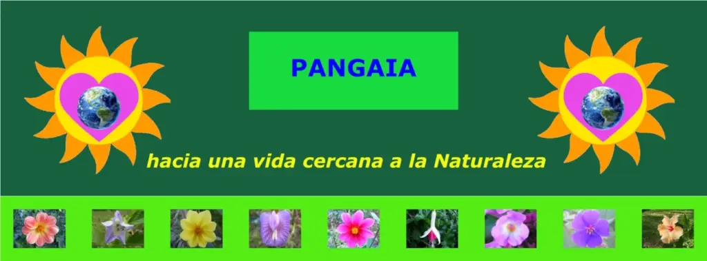 Banderola Pangaia hacia hacia una vida cercana a la Naturaleza