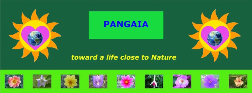 Banderole Pangaia toward a life close to Nature