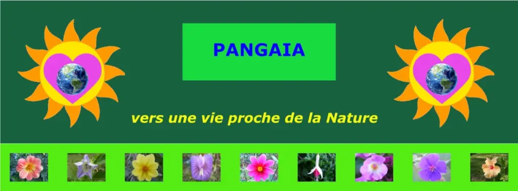 Banderole Pangaia vers une vie proche de la Nature